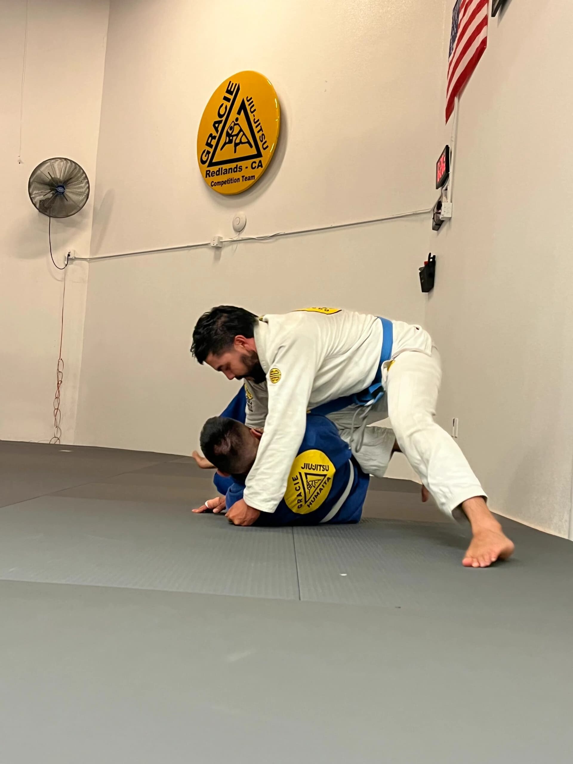 Adult-BJJ